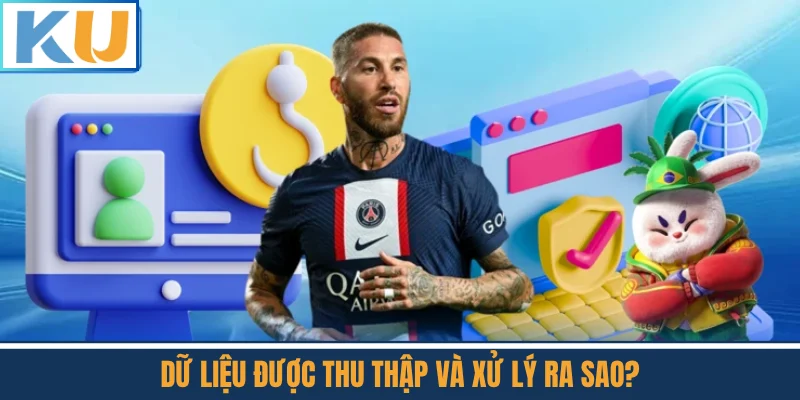 Dữ Liệu Được Thu Thập Và Xử Lý Ra Sao?