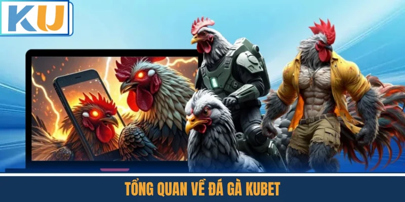 Tổng Quan Về Đá Gà Kubet