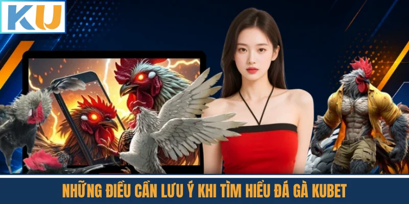 Những Điều Cần Lưu Ý Khi Tìm Hiểu Đá Gà Kubet